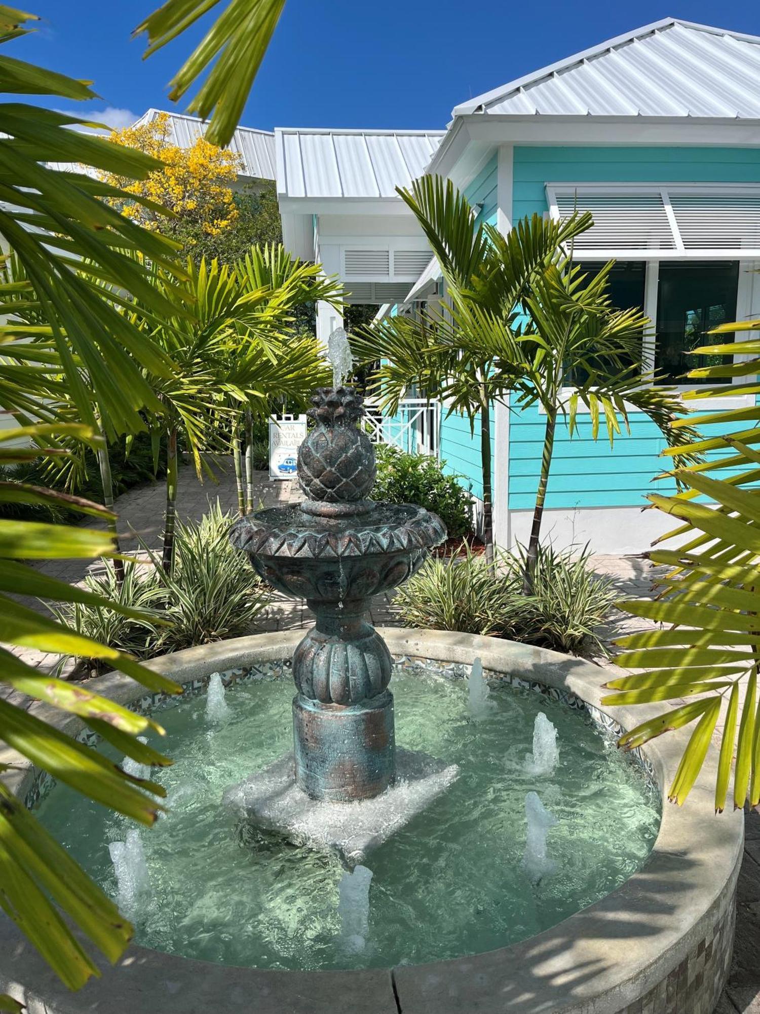 Dolphin Cove (Adults Only) Villa Freeport Eksteriør billede